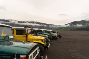 jeeps